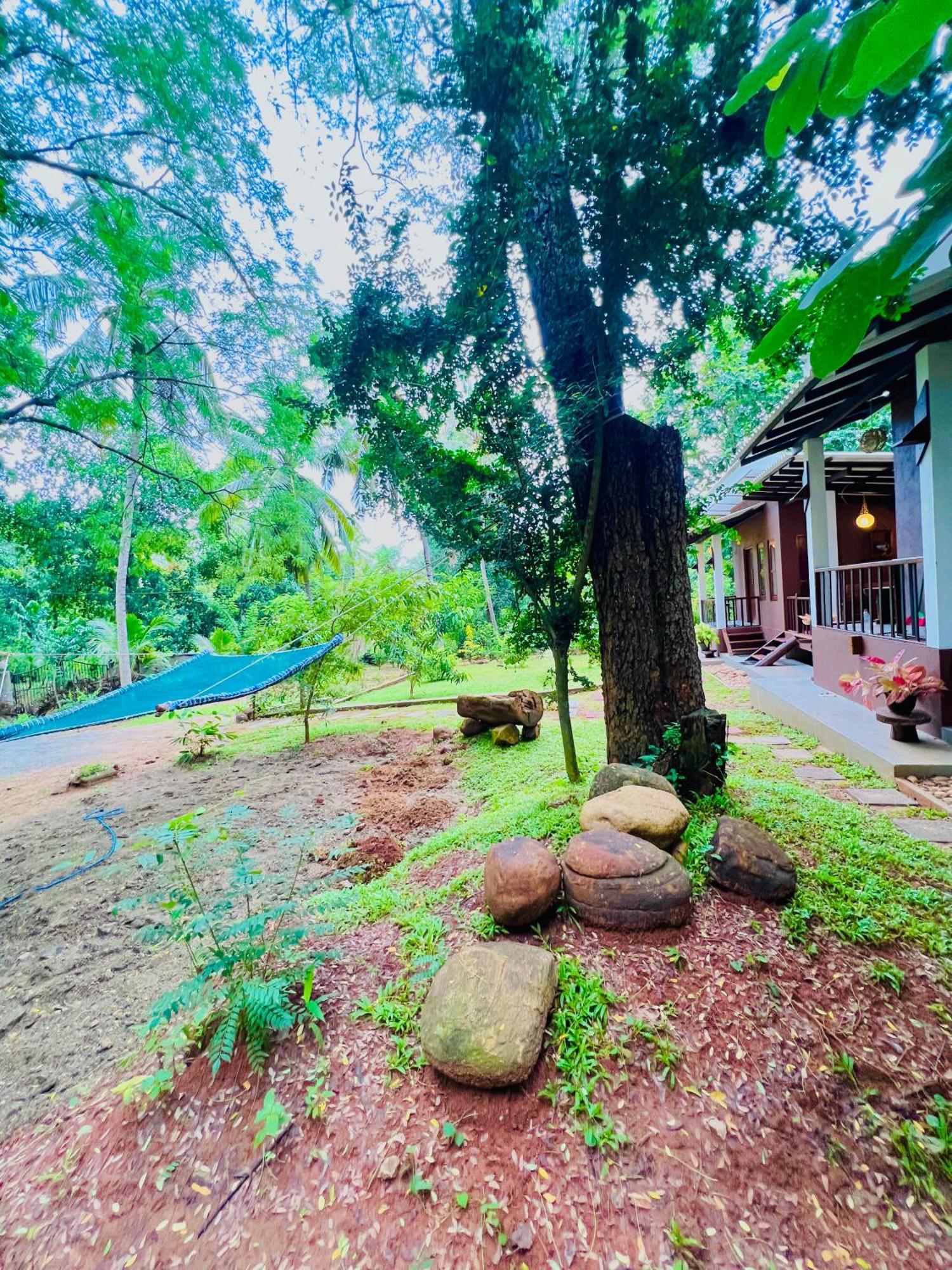 Edenhaven Cottage Udawalawe Dış mekan fotoğraf